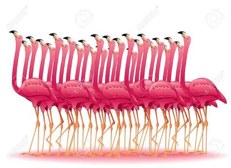 flamingo flock clipart 10 free Cliparts | Download images on Clipground ...