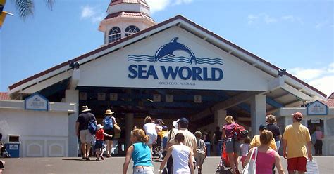 Seaworld in Queensland, Australia | Sygic Travel