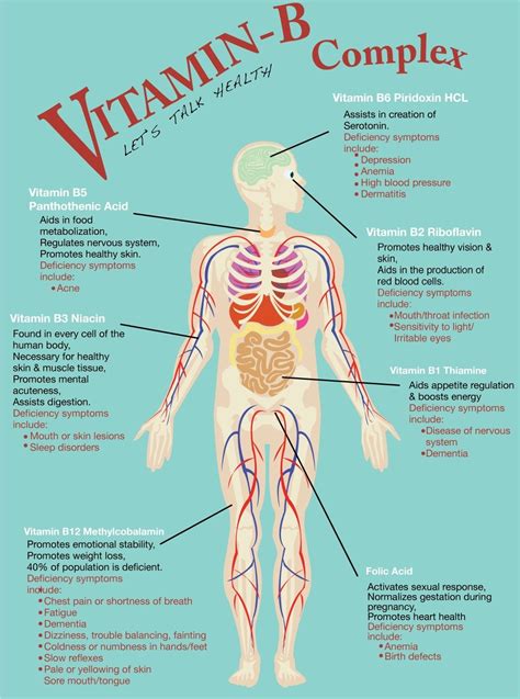 where is our vitamin B? Xfactor multivitamin capsules ~> 10mg B6 and 500mcg B12 Fast Relief ...