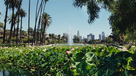 Best Parks in Los Angeles, From Griffith Park to Grand Park