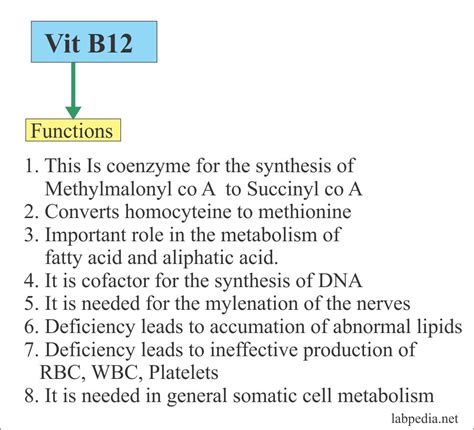 Vitamin B12 (Cyanocobalmin) - Labpedia.net