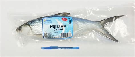 Milkfish Nutrition Benefits for Your Body and Diet | Indonesia Milkfish ...