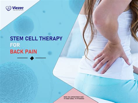 Stem Cell Therapy for Back Pain - Viezec Stem Cell Institute