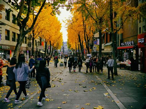 Free Images : pedestrian, people, road, street, town, city, crowd, downtown, autumn, season ...