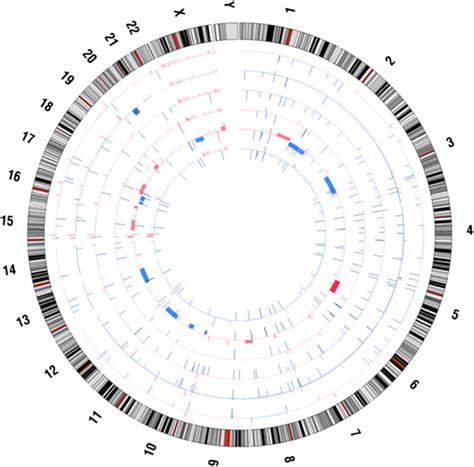 Circos plot of Affymetrix SNP array analysis performed on the BIN-67 ...