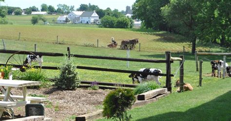 Lancaster: Amish Experience Visit-in-Person Tour of 3 Farms | GetYourGuide