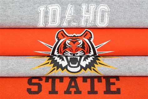 Idaho State Bengals 20x30 | Worn But Not Forgotten Sports Art