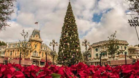 VIDEO: Trimming the Christmas Tree at Disneyland Park | Disney Parks Blog