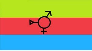 Trigender - LGBTQIA+ Wiki