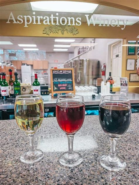 6 Amazing Wineries in Tampa Bay You Gotta Check Out!