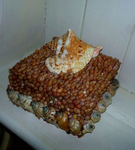 Shell Box | Square craft box I decorated with shells | Dolly Dolly UK ...