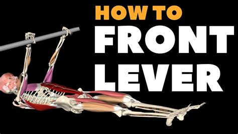 How to Front Lever step-by-step | Watch ALL active muscles - YouTube