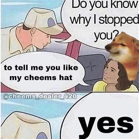 To tell me you like my cheems hat - iFunny