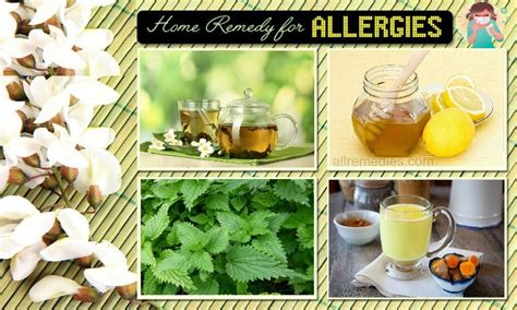 20 Natural Home Remedies for Allergies in Adults & Children