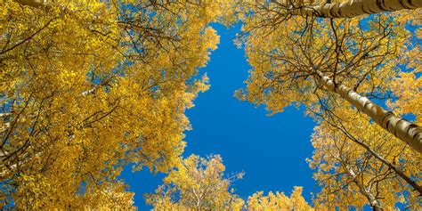 9 Terrific Fall Hikes in Vail, CO | Best Hiking Trails for Fall Colors