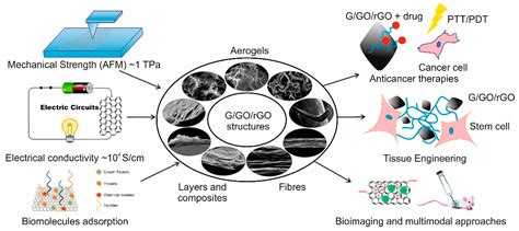 Nanomaterials | Free Full-Text | Biomedical Applications of Graphene-Based Structures