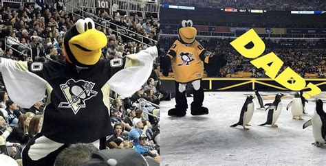 Who is the Pittsburgh Penguins mascot? Entire history behind franchise ...