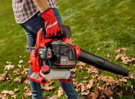 Best Gas Leaf Blower Reviews 2022 - Pro Tool Reviews