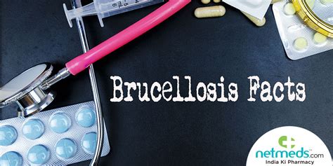 Brucellosis: Causes, Symptoms and Treatment