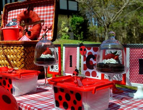 Ladybugs / Picnic "Spotty Dotty Ladybug Picnic" | Catch My Party