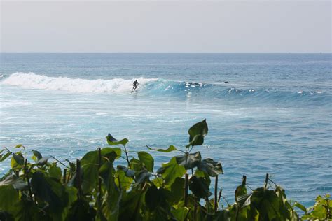 Kahaluu Beach Surfing - Hawaii Pictures