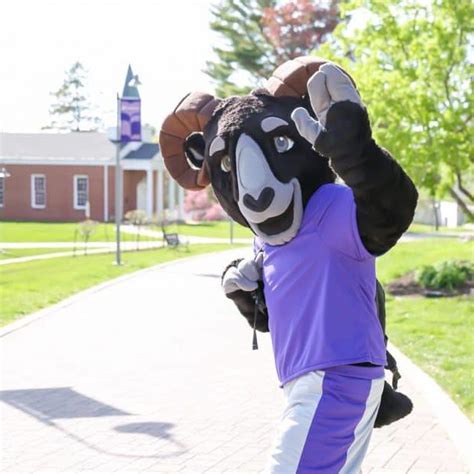 Cornell | Mascot Hall of Fame