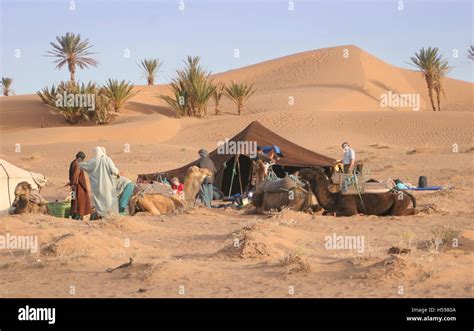 Camping in the Dunes. Camel trek in the Sahara Desert near Zagora in Southerm Morocco. Shows ...