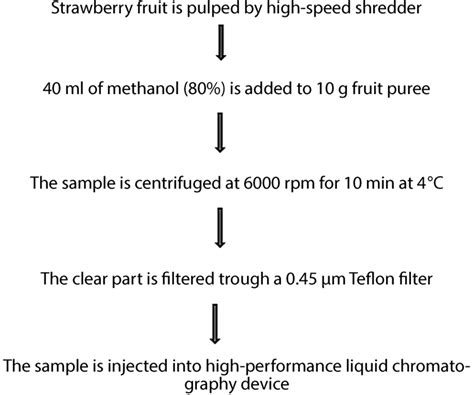 Extraction method of individual phenolic compounds | Download Scientific Diagram