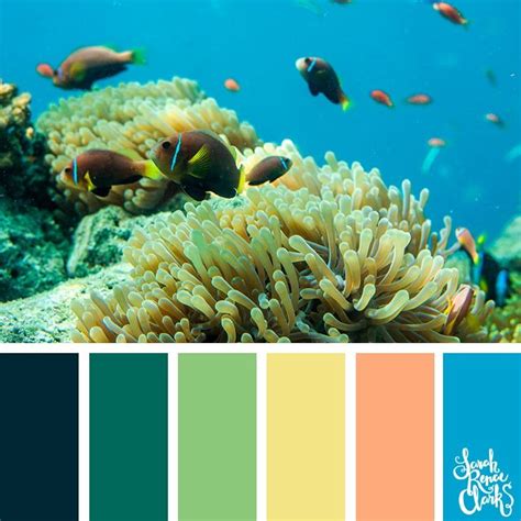 25 Color Palettes Inspired by Ocean Life and PANTONE Living Coral ...