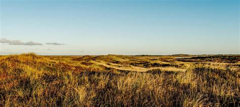 New nature attractions in Jutland | VisitDenmark