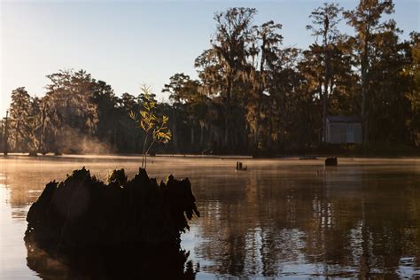 Swamp Landscape Photography Tour