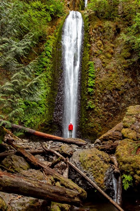 20 WILDLY Beautiful Oregon Waterfalls Worth the Hype (Guide)