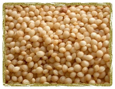 Organic Amaranth Grain – Purcell Mountain Farms