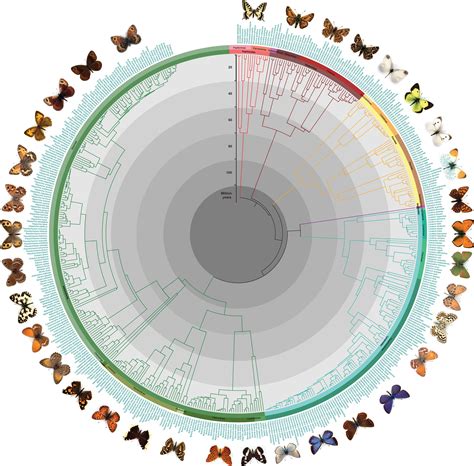 Scientists unravel the evolution and relationships for all European ...