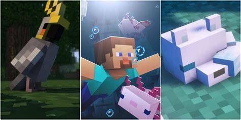 Minecraft: 10 Best Passive Mobs