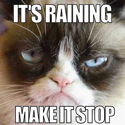 35 Funny Rain Memes And Images For Rainy Days