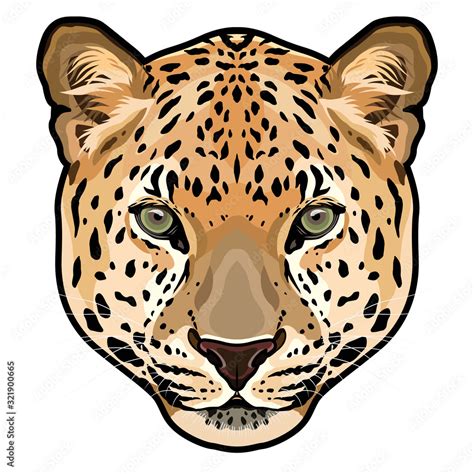 leopard head clipart - Clip Art Library - Clip Art Library