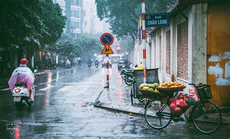 Ha Noi in Winter #Travel #Hanoi #Vietnam #winter | Việt nam, Hà nội, Viết