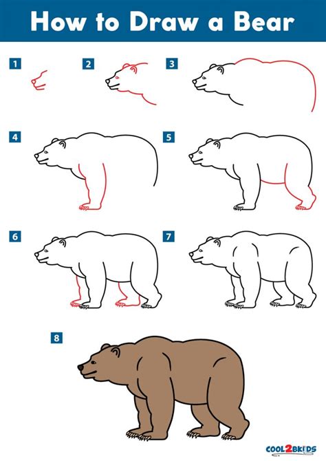 How to Draw a Bear - Cool2bKids