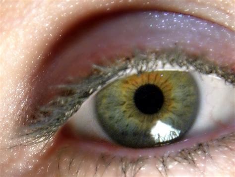 green eye purple eye shadow | Lucky Lynda | Flickr