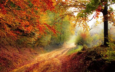 Beautiful Autumn Road Wallpapers | HD Wallpapers | ID #16828