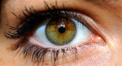 Half Brown Half Green Eye | Evelyn Rose | Flickr