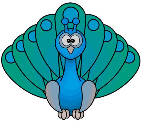 Cartoon peacock clipart. Free download transparent .PNG | Creazilla