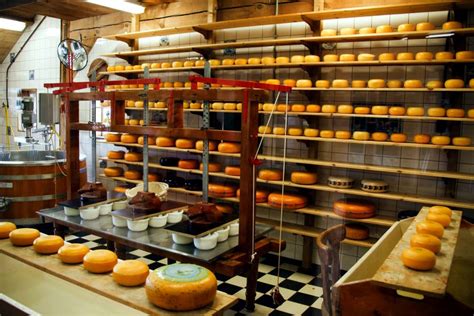 Free picture: cheese factory, cheese, products