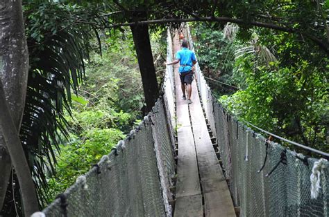 Mayan Jungle Canopy Zipline - Discover Roatan™ Excursions & Tours