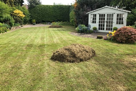 Lawn Scarifying | Professional Lawn Scarification Services | Lawnkeeper