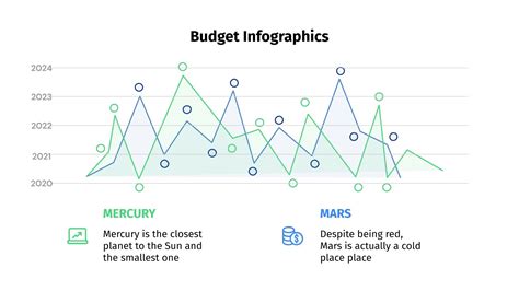 Budget Infographics Google Slides and PowerPoint template