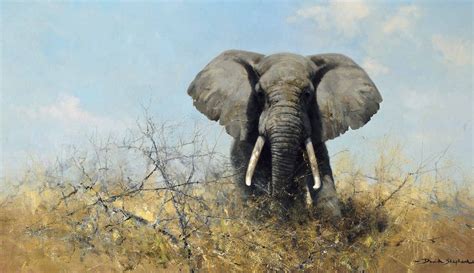 David Shepherd (b. 1930) | An African elephant | Paintings | Christie's