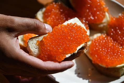 Do Russians eat RED caviar? (SPOILERS AHEAD) - Russia Beyond