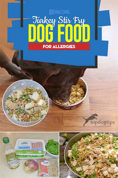 Top 10 Allergy-Friendly Recipes for Happy Dogs - A Complete Buying ...